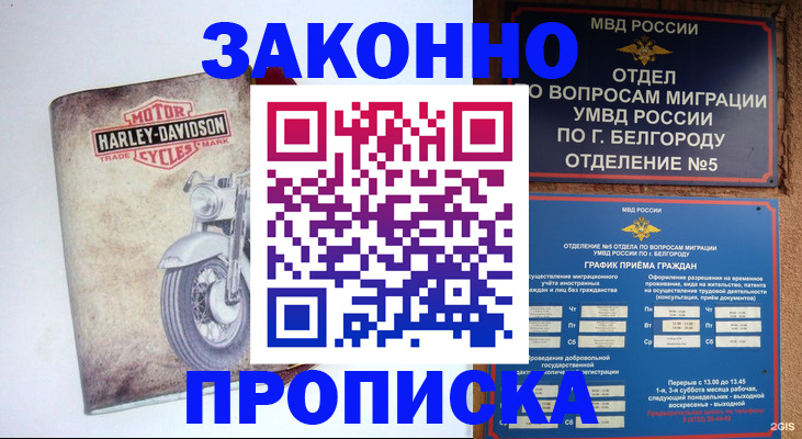 прописка для школы в Тынде